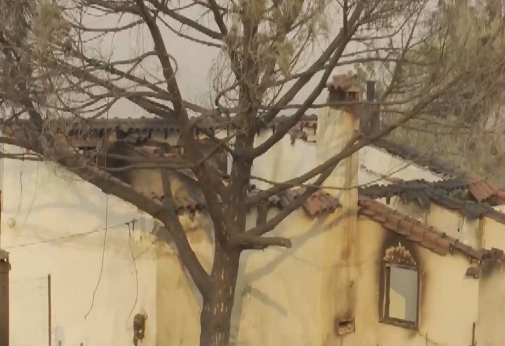 Φωτιά στην Αλεξανδρούπολη: Έγιναν «στάχτη» σπίτια και αποθήκες στον Άβαντα (VIDEO)