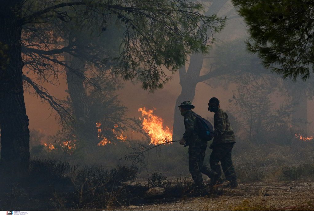 Φωτιά στον Έβρο: Δραματική η κατάσταση στο χωρίο Κοτρωνιά – Μεγάλες αναζωπυρώσεις και μηνύματα 112 (VIDEO)