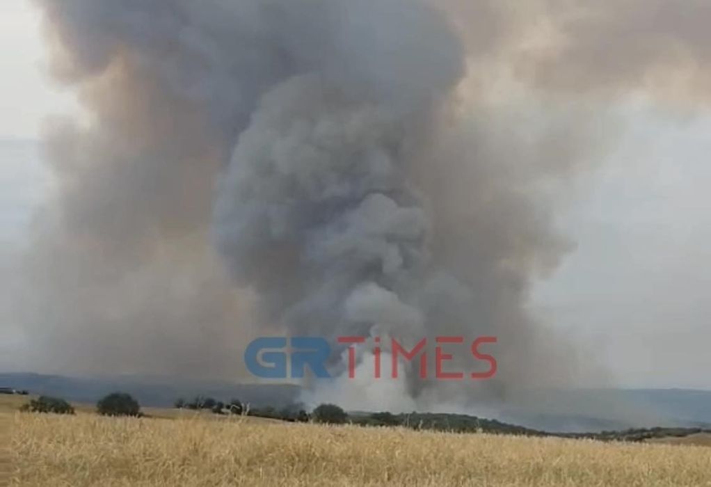 Υπό μερικό έλεγχο η πυρκαγιά στην Αρετή Λαγκαδά