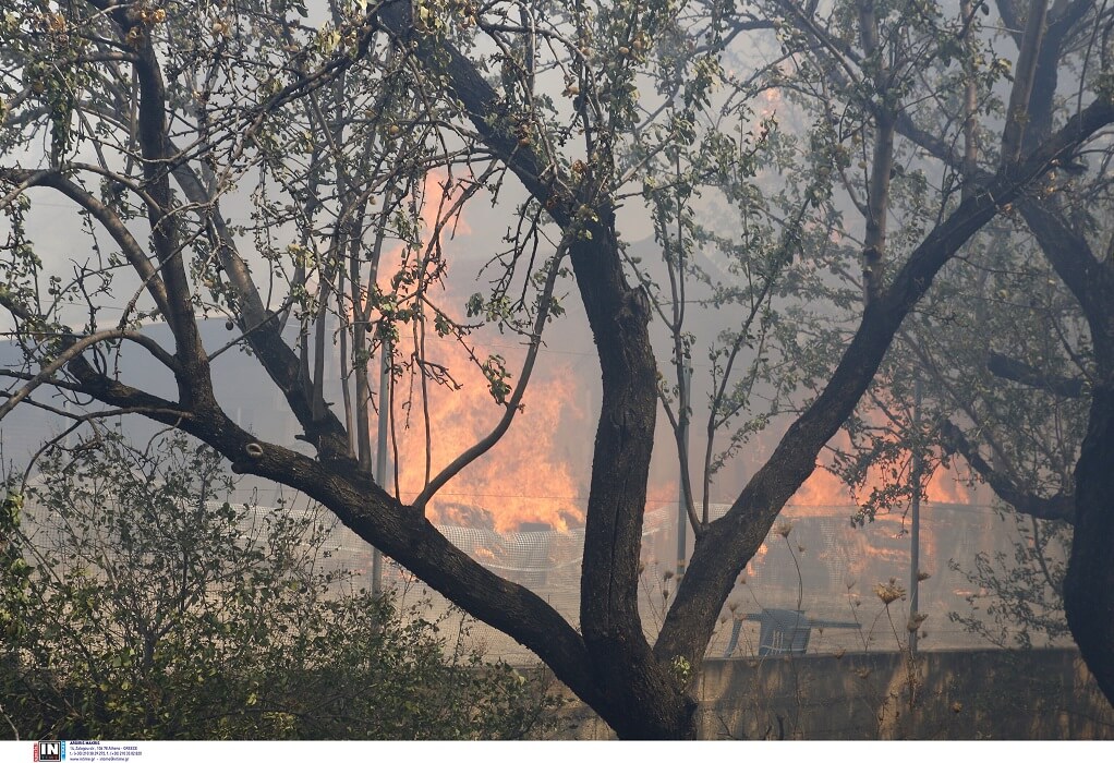 Πυρκαγιές: Αναστολή καταβολής ασφαλιστικών εισφορών, δόσεις και παρατάσεις καταβολών για τους πληγέντες