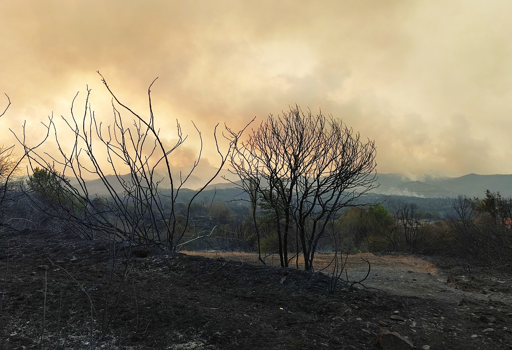 Λάβαρα Έβρου: Εκμεταλλεύτηκε την εκκένωση λόγω φωτιάς και «ξάφρισε» σπίτι