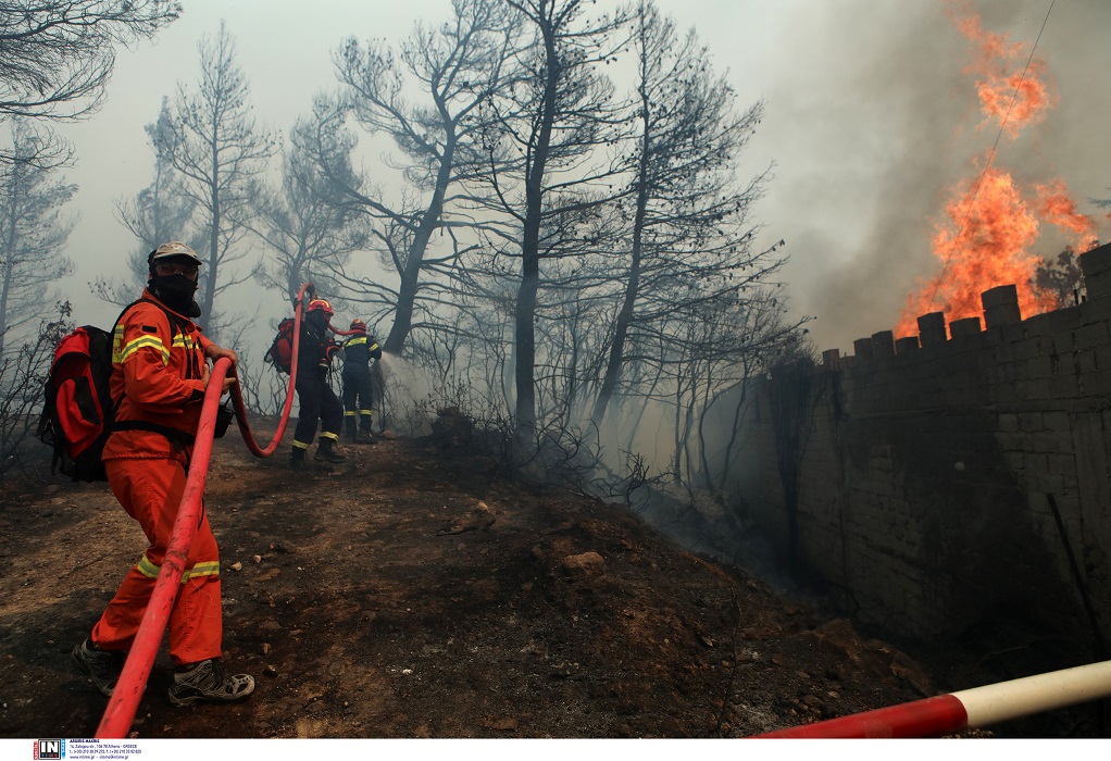 Χαλκιδική: Απαγόρευση κυκλοφορίας σήμερα σε δασικές περιοχές – Υψηλός κίνδυνος πυρκαγιάς