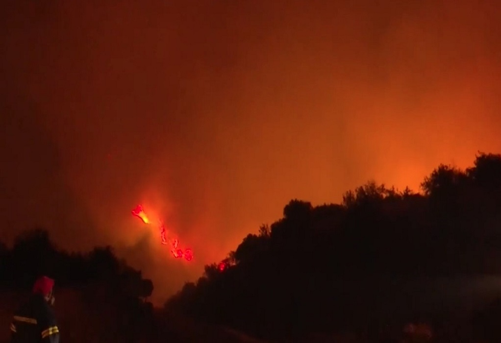 Αναζωπυρώσεις σε Έβρο και Ροδόπη-Συνολικά 74 πυρκαγιές καίνε στην ελληνική επικράτεια