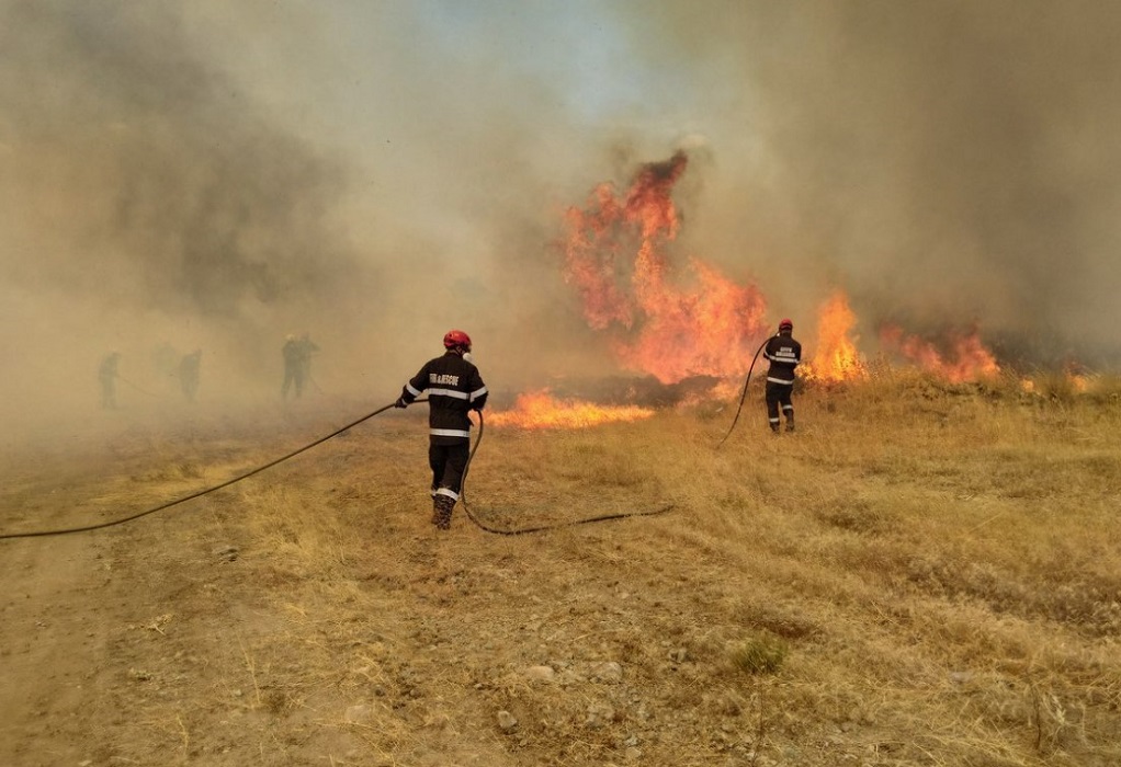 Πυρκαγιά σε δασική έκταση στο Μαρκόπουλο Ωρωπού