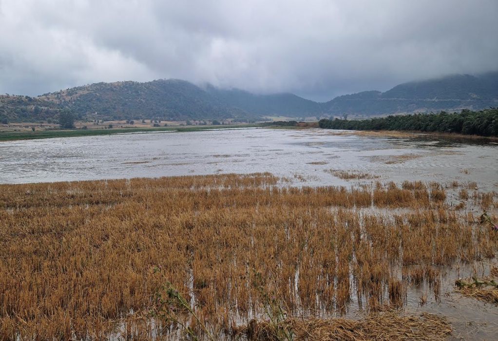 Έκθεση διαπιστώνει παγκόσμια πληθυσμιακή αύξηση σε περιοχές που διατρέχουν κίνδυνο πλημμύρας