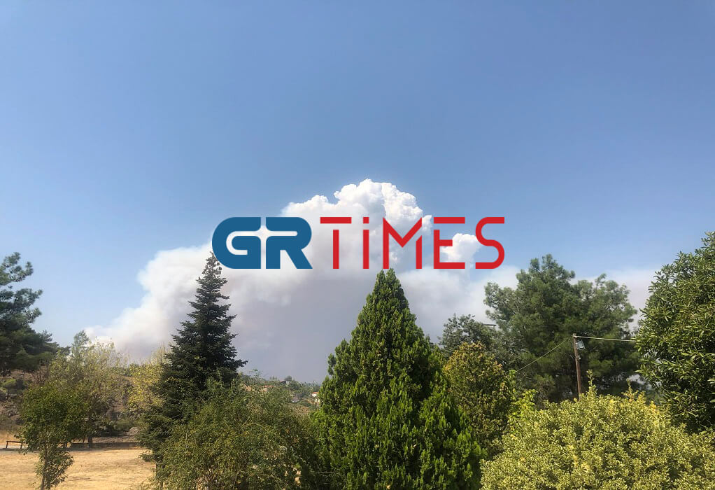 Έβρος: Συμμετοχή του Δ.Π.Θ. στην ανασυγκρότηση των πληγέντων από τις πυρκαγιές