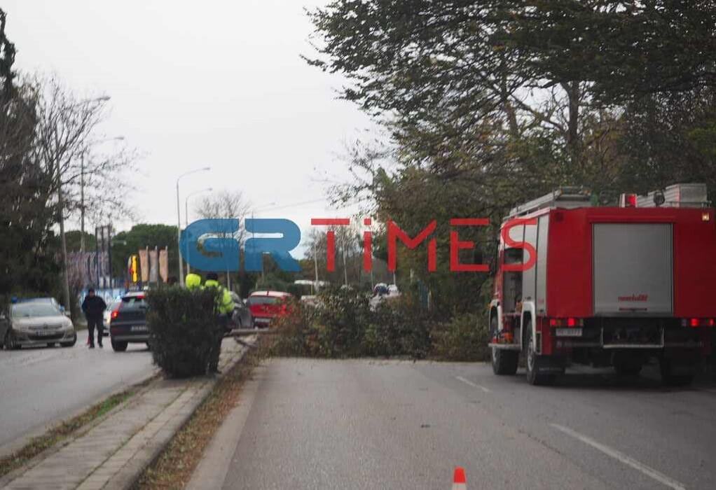Θεσσαλονίκη: Κολώνα και δέντρο έπεσαν πάνω στον δρόμο προς το αεροδρόμιο (ΦΩΤΟ)