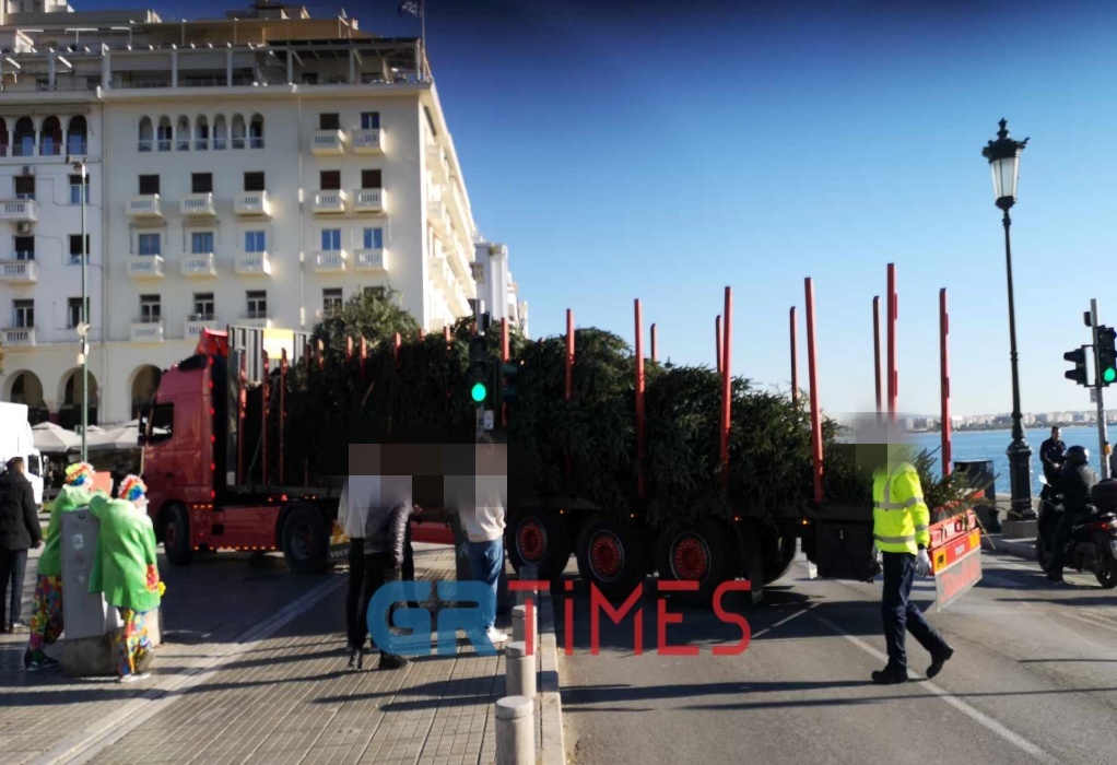 Έφτασε στην πλατεία Αριστοτέλους το 17 μέτρων Χριστουγεννιάτικο δέντρο (VIDEO)