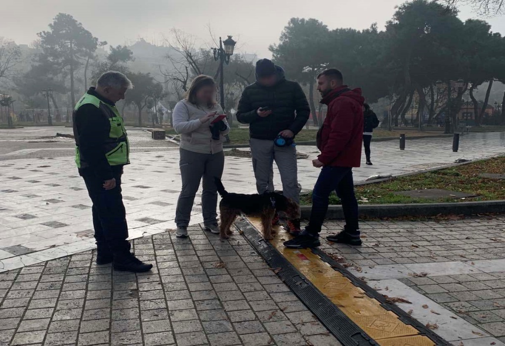 Θεσσαλονίκη: Έλεγχοι για δεσποζόμενα ζώα – «Βροχή» από πρόστιμα 300 και 500 ευρώ