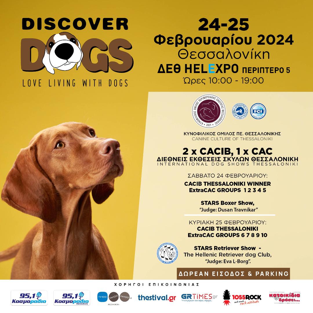 Discover Dogs 2024: Η μεγαλύτερη γιορτή για σκύλους έρχεται στη Θεσσαλονίκη  - GRTimes.gr