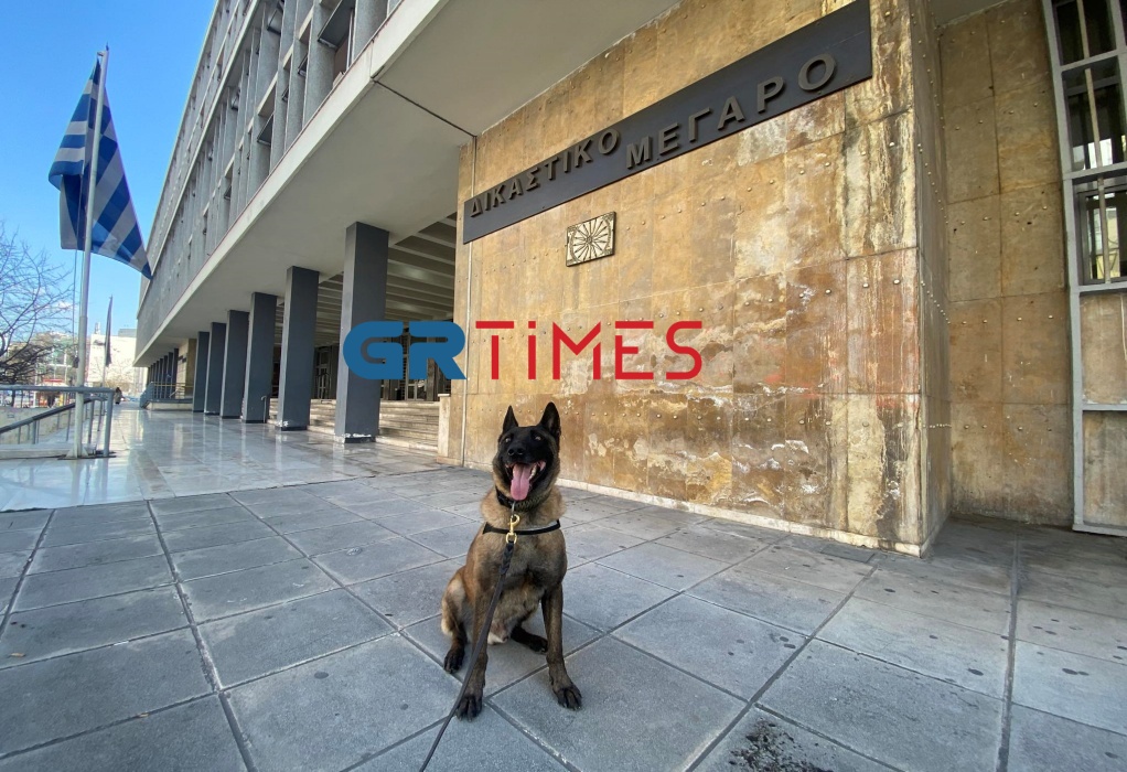 Ένας Όσκαρ για … Όσκαρ: Σκύλος περιπολίας της ΕΛ.ΑΣ. σε επίδειξη στη Θεσσαλονίκη (VIDEO-ΦΩΤΟ)