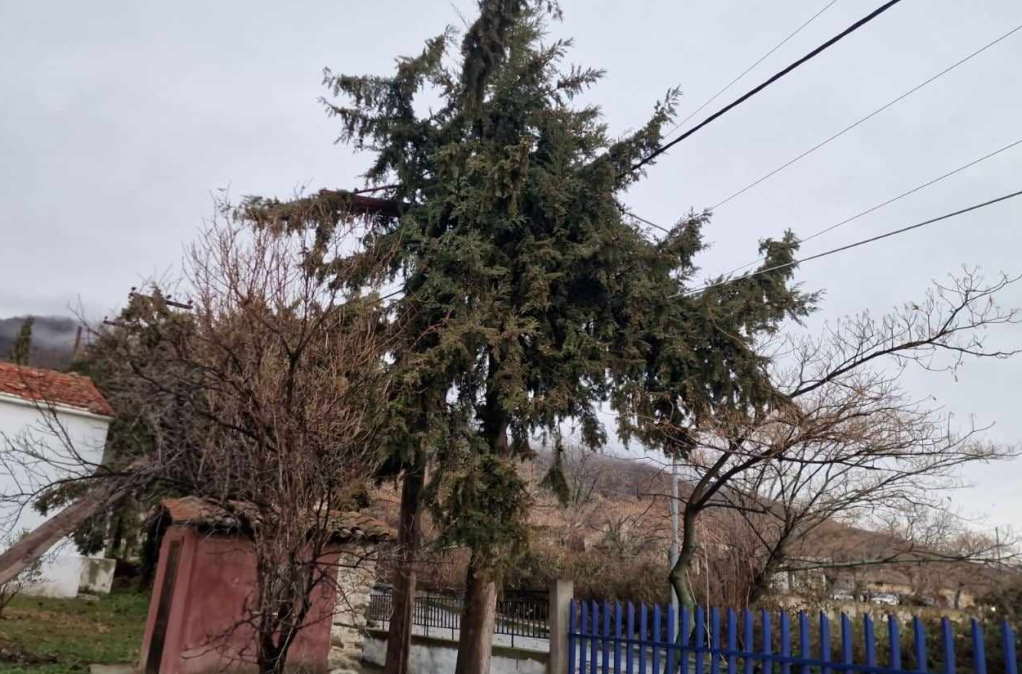 Θεσσαλονίκη: Κλειστά όλα τα σχολεία στον Σοχό – Διακοπή ρεύματος και πτώσεις δέντρων λόγω κακοκαιρίας