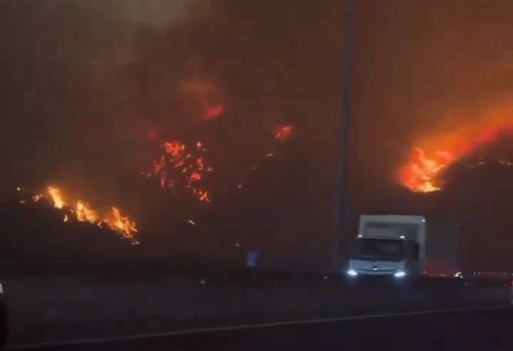 Τουλάχιστον 51 νεκροί από τις πυρκαγιές στη Χιλή (VIDEO)