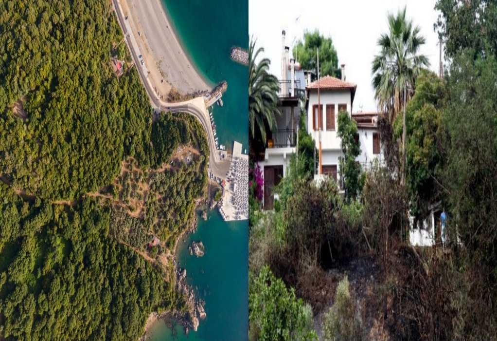 Δασικοί Χάρτες: «Έμπλεξαν» χωρίς να το γνωρίζουν στη Λάρισα–Δεν μπορούν να μεταβιβάσουν τα οικόπεδά τους