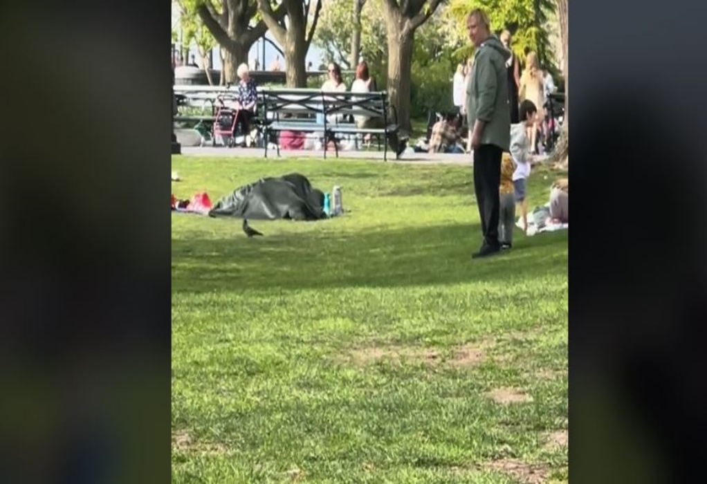 Νέα Υόρκη: Οργή για ασυγκράτητο ζευγάρι που φέρεται ότι έκανε σεξ σε πάρκο (VIDEO) 